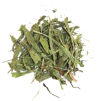 Utopia Standort Desutopia