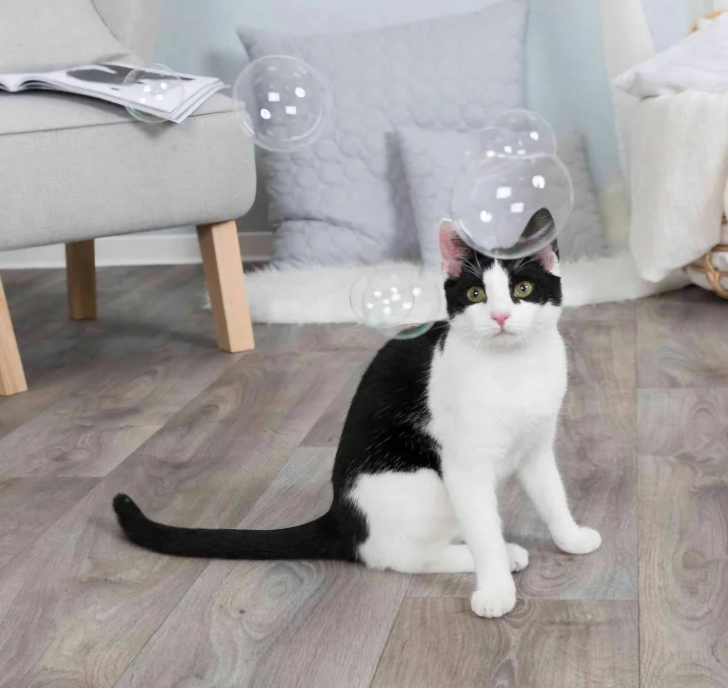 Trixie Bubble Blower Catnip