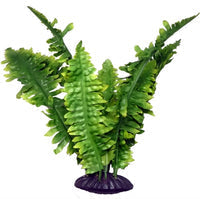 Pflanzen für Terrarien