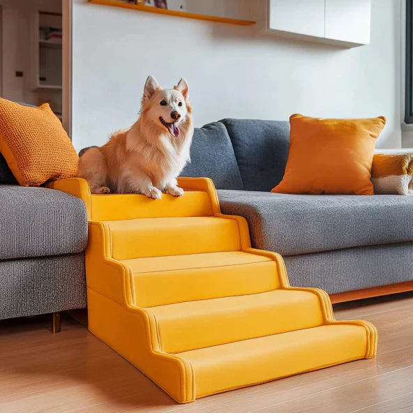 Treppen & Rampen für Hunde