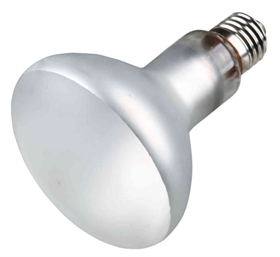 Trixie Reptiland Prosun Gemischt D3 Uv-B Lampe Selbststartend