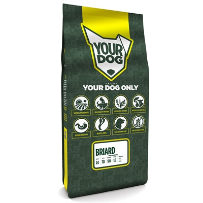 Yourdog Briard Erwachsen