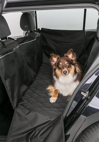 Trixie Auto Schwarz