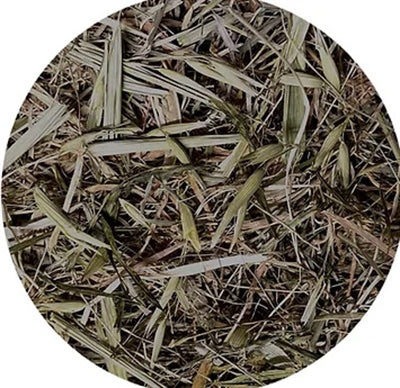 Utopia Mit Grünem Hafer