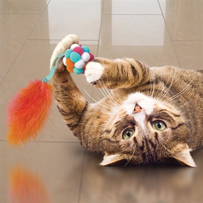 Kong Katze Aktiv Blase Ball Assorti